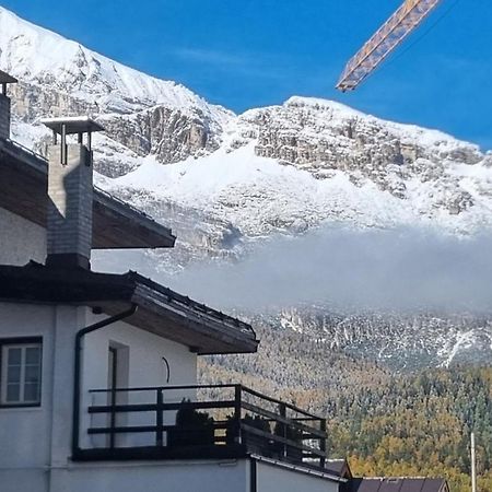 Studio Apartment Ariston In Centro A Cortina 科尔蒂纳丹佩佐 外观 照片