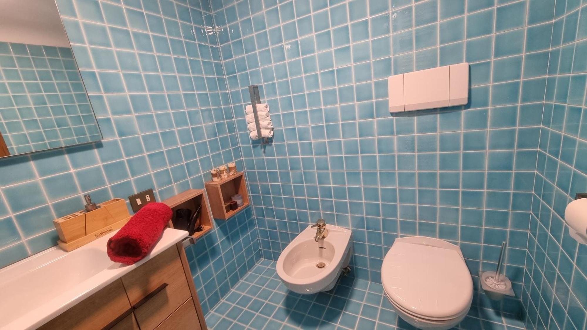 Studio Apartment Ariston In Centro A Cortina 科尔蒂纳丹佩佐 外观 照片