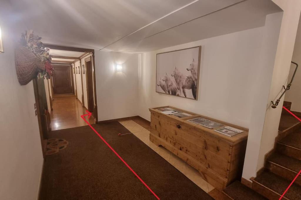 Studio Apartment Ariston In Centro A Cortina 科尔蒂纳丹佩佐 外观 照片